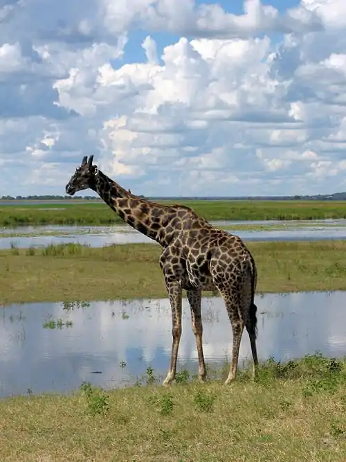 A photo of Botswana