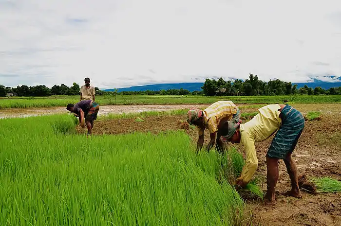 A photo of Bangladesh