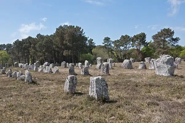 Alignement Kerlescan Carnac.jpg