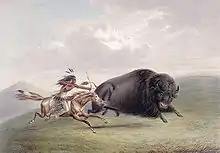 One of the biggest issues facing the move west was the destruction of the buffalo. The buffalo was worshiped by the Native Americans, however they thought the settlers were wasteful and careless with this animal.