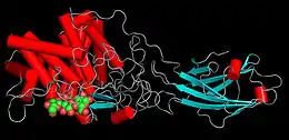 Cellulase