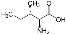 Alpha-amino acid with isobutyl “R” group