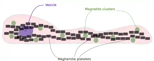 Maghemite