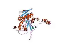 DNA Methyltransferase