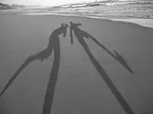 Shadows-in-the-sand.jpg