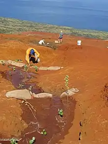 Gully prevention