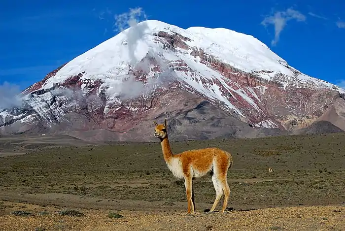 A photo of Ecuador