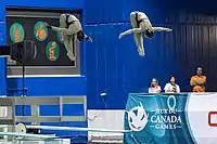 Women's Diving (36291687141).jpg