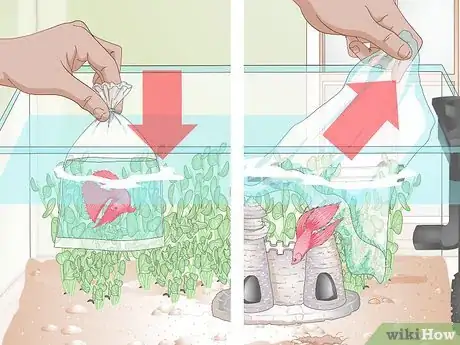 Image titled Set Up a Betta Tank Step 15