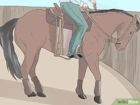 Image titled Teach Your Horse to Side Pass Step 8