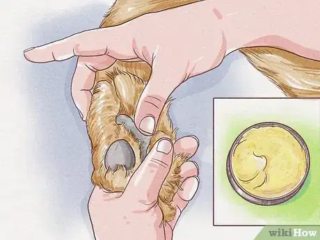 Image titled Make Dog Paw Balm Step 12