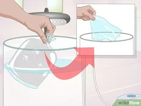 Image titled Start a Jellyfish Tank Step 13