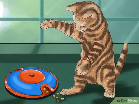 Image titled Identify a Toyger Step 6