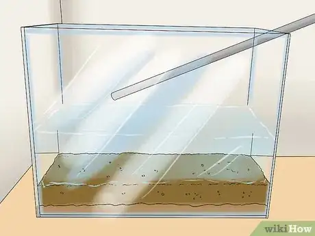 Image titled Build an Acrylic Aquarium Step 11