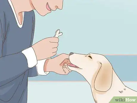 Image titled Wash a Dog Afraid of Water Step 13