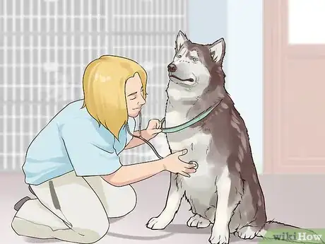 Image titled Gain Trust in an Aggressive Dog Step 19