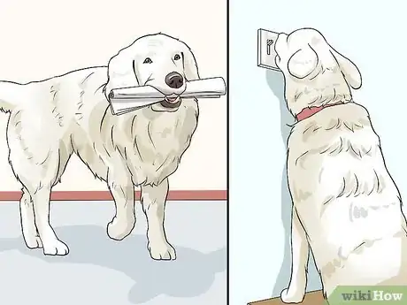 Image titled Stop a Dog from Herding Step 9