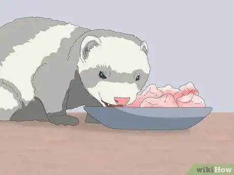 Image titled Reduce Ferret Odor Step 11