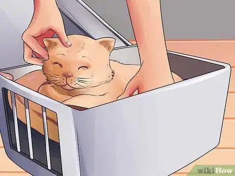 Image titled Prepare Your Cat for Surgery Step 10