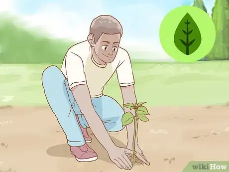 Image titled Propagate Bougainvillea Step 12