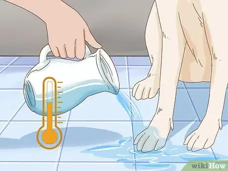 Image titled Wash a Dog Afraid of Water Step 12