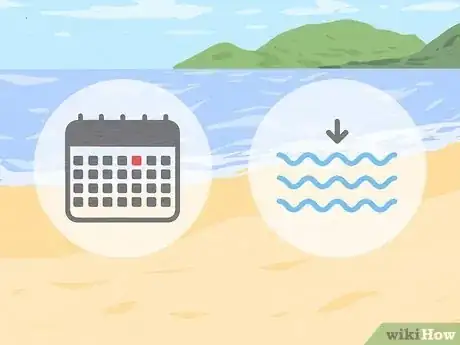 Image titled Organize a Beach Clean Up Step 2