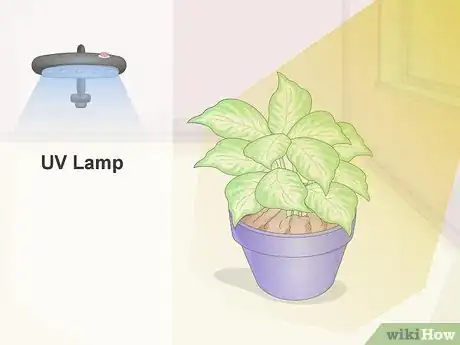 Image titled Keep Your Plants from Dying Step 2