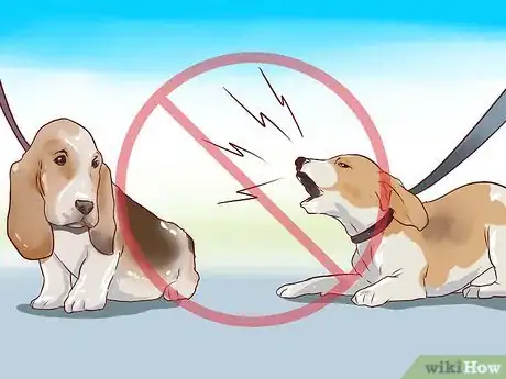 Image titled Train Beagles Step 12