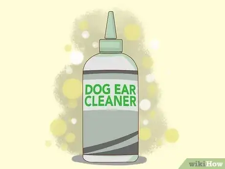 Image titled Clean Poodle Ears Step 1