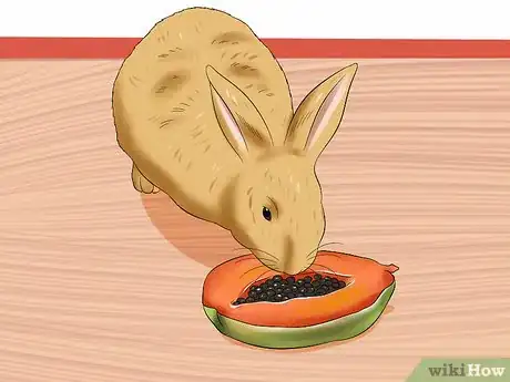 Image titled Treat Digestive Problems in Rabbits Step 14