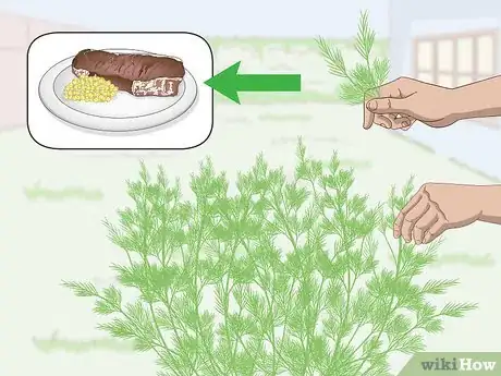 Image titled Prune Dill Step 2