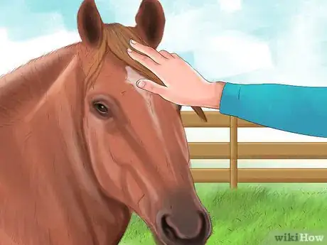 Image titled Get a Horse to Put Its Head Down Step 2