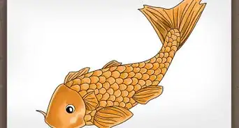 Draw a Koi Fish