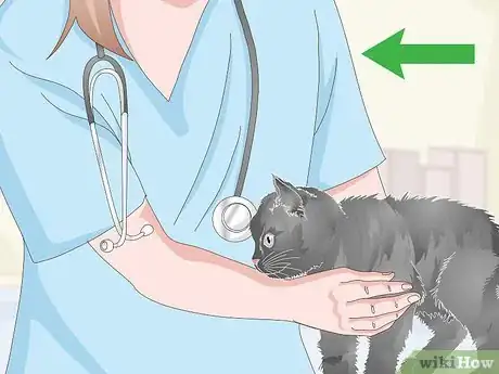 Image titled Help a Vomiting Cat Step 11