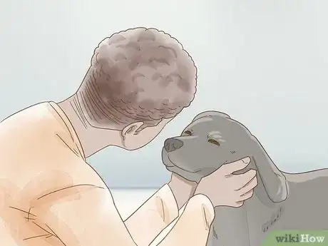 Image titled Reduce Anxiety in Dogs Step 5