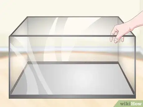 Image titled Build a Vivarium Step 3