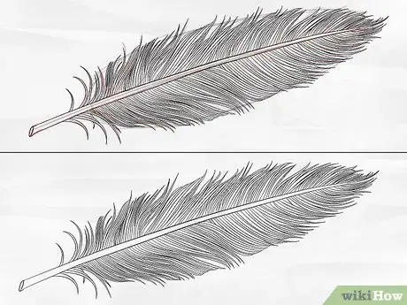 Image titled Draw a Feather Step 3