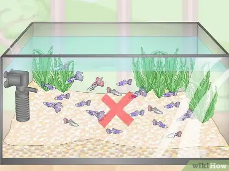 Image titled Lower Your Nitrate_Nitrite Levels in Your Fish Tank Step 9