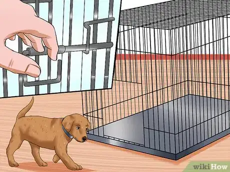 Image titled Obedience Train Your Puppy Before It's 10 Weeks Old Step 4