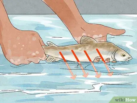 Image titled Unhook a Fish Step 14