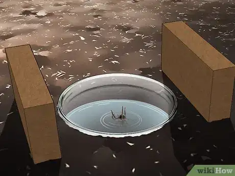 Image titled Set Spider Traps Step 12