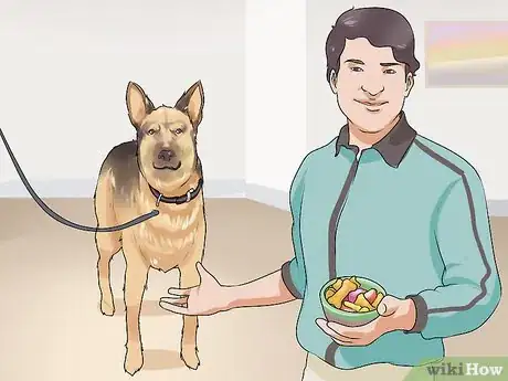 Image titled Introduce a New Dog to Visitors Step 10