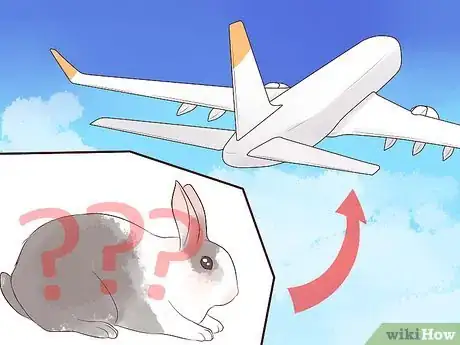 Image titled Transport a Rabbit Step 11