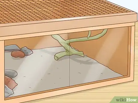 Image titled Care for Bearded Dragons Step 11