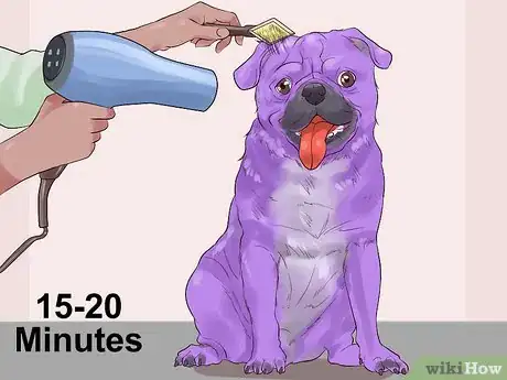 Image titled Dye a Dog's Fur Step 13