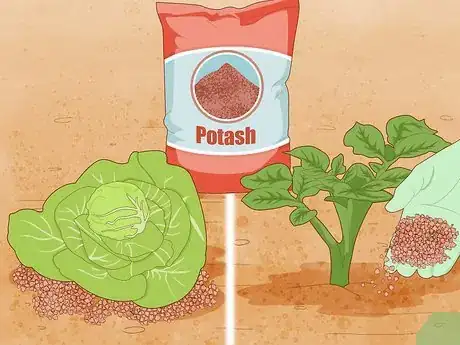 Image titled Use Potash Step 4