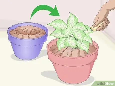 Image titled Keep Your Plants from Dying Step 5