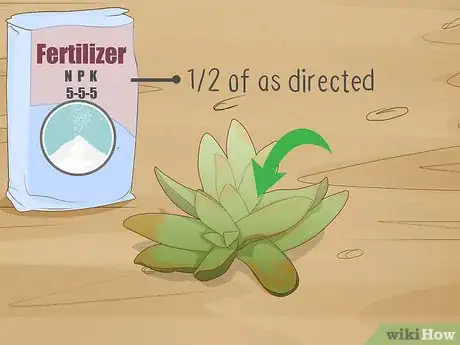 Image titled Plant Succulents Step 14