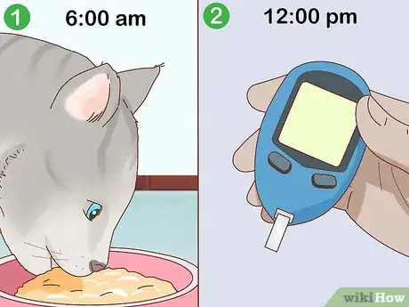 Image titled Check Blood Sugar of a Cat Step 11