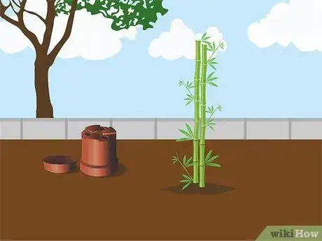 Image titled Grow Bamboo from Seed Step 12